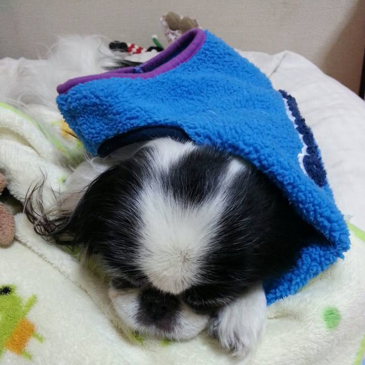 F0dcdf86 67aa 47aa 98bb 3fb1b3366563