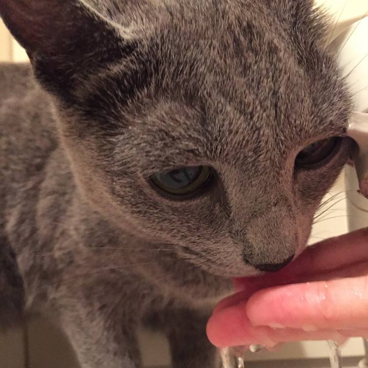 F0dcf3cc e23e 4b3e b9b8 11e8e9dc36ad