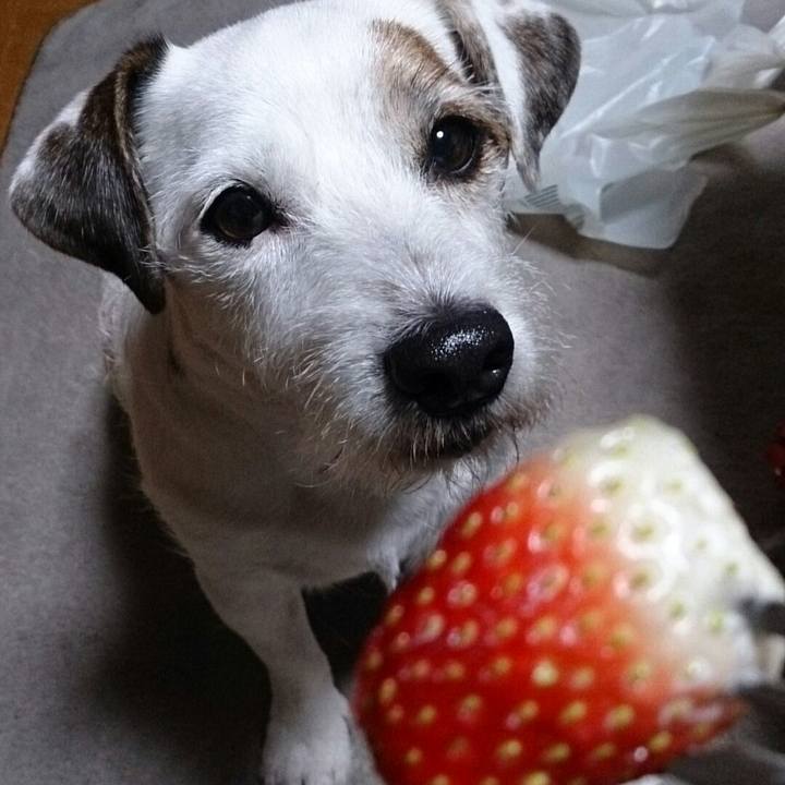 F0dd3db8 d592 4371 b010 e112a08d5f0f