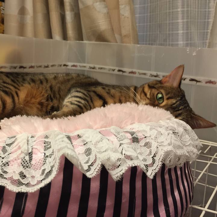 F0dd96eb a98a 49fa 9620 bf1c489c0fcf