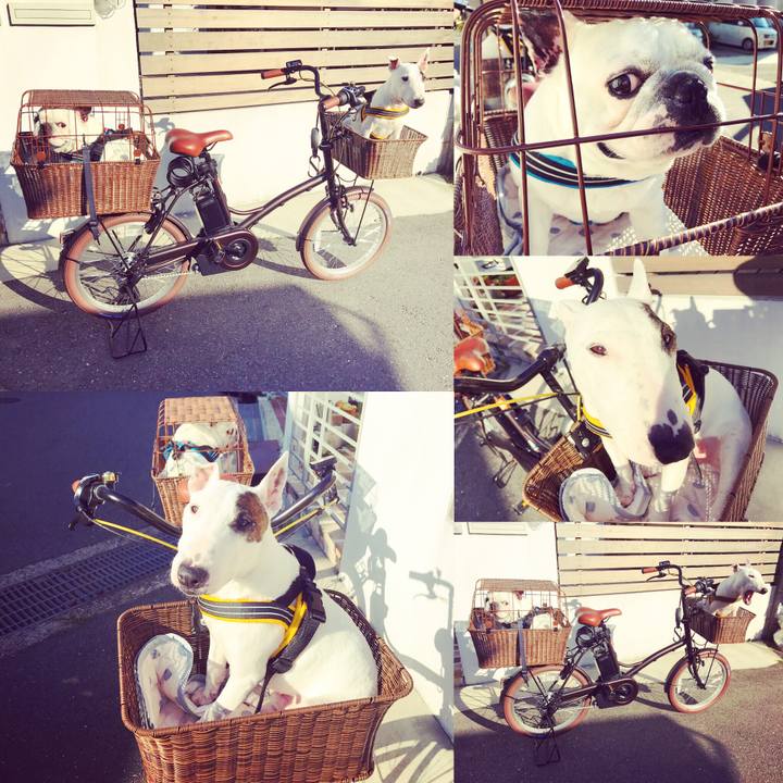 F0dd9fc4 cc72 4dd5 b766 a579f2e8a59a