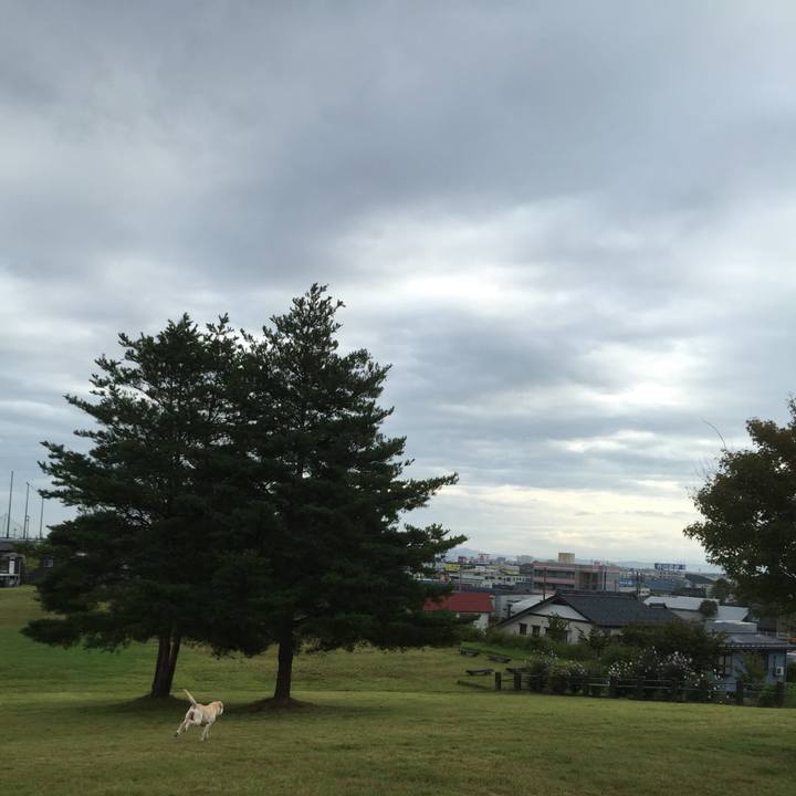 F0ddb00c 2e10 430e 84f4 901401cf5c81