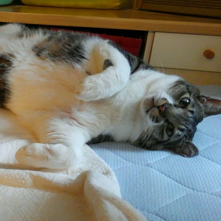 F0de0e59 dc2e 46e3 a36f 83b641f947f2