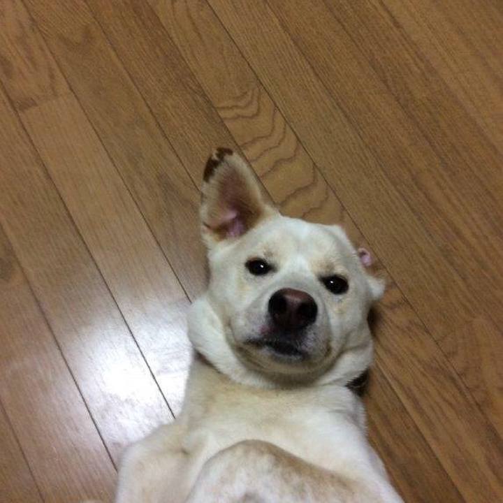 F0de7307 8206 4d71 9396 86bd0079f4ef