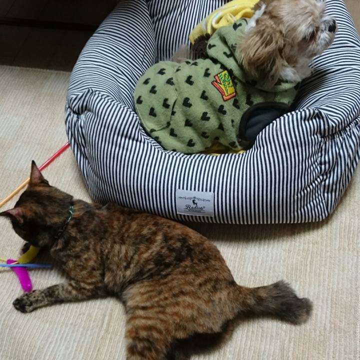 F0deb8c5 41c7 49c9 84ad 0bee6885fb45