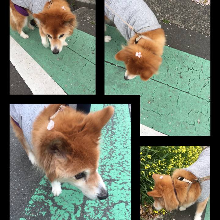 F0dfe929 054b 483c a02d cdb571a8057a