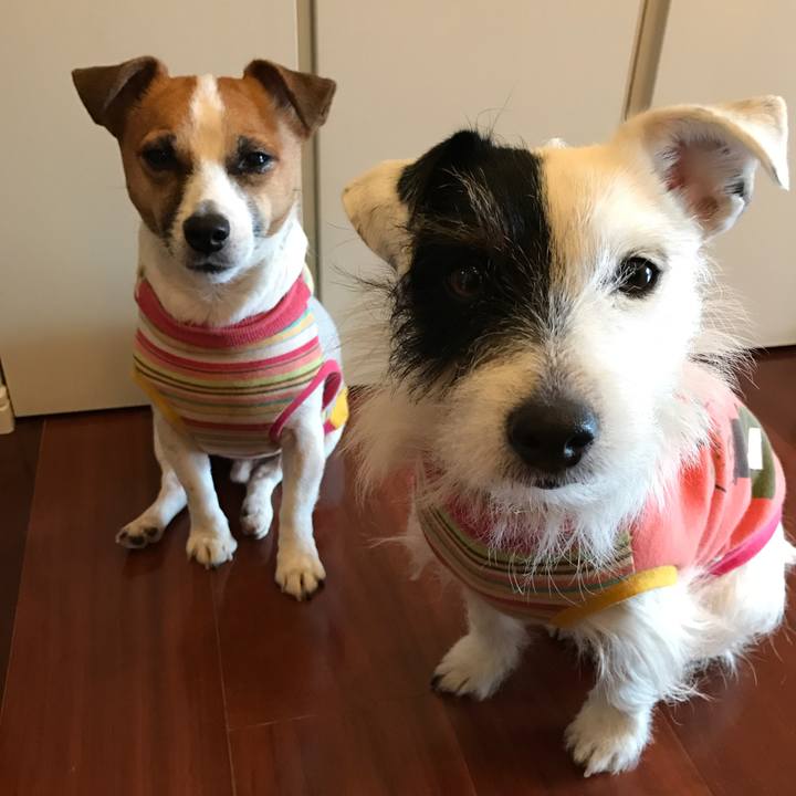 F0e02a1f 33fa 401b 832c 35528927b18b