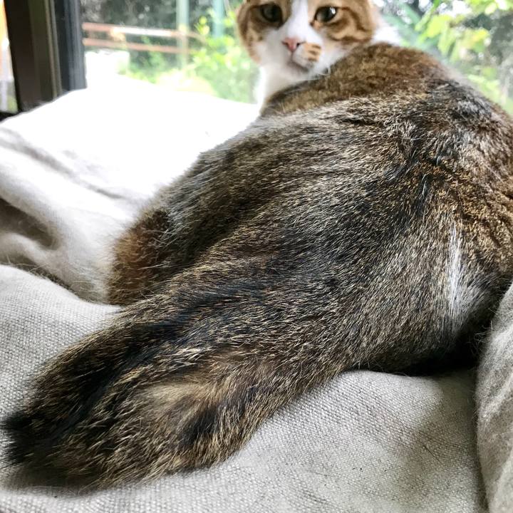 F0e039ec ff20 4704 bbac a18d9da31918