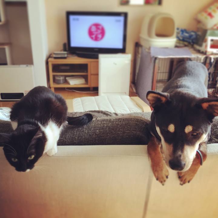 F0e0a9a9 a10a 4e02 b62d c88f62bcf27f