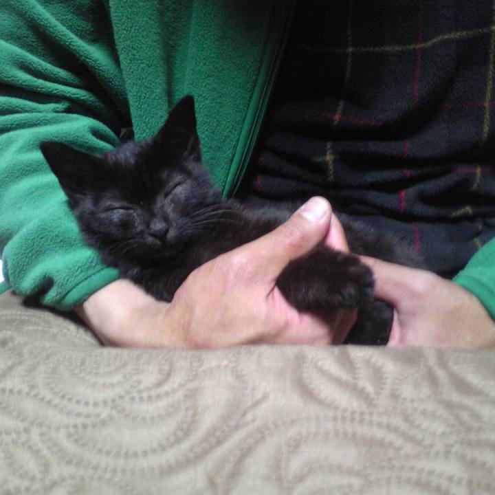 F0e0ebaf 33b3 4638 a18d 7ff2c23f6e53