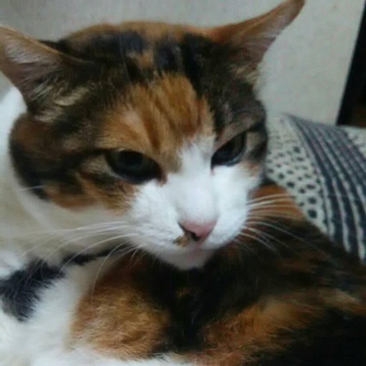 F0e0f506 8067 4a37 98c9 a2becf10c6e8