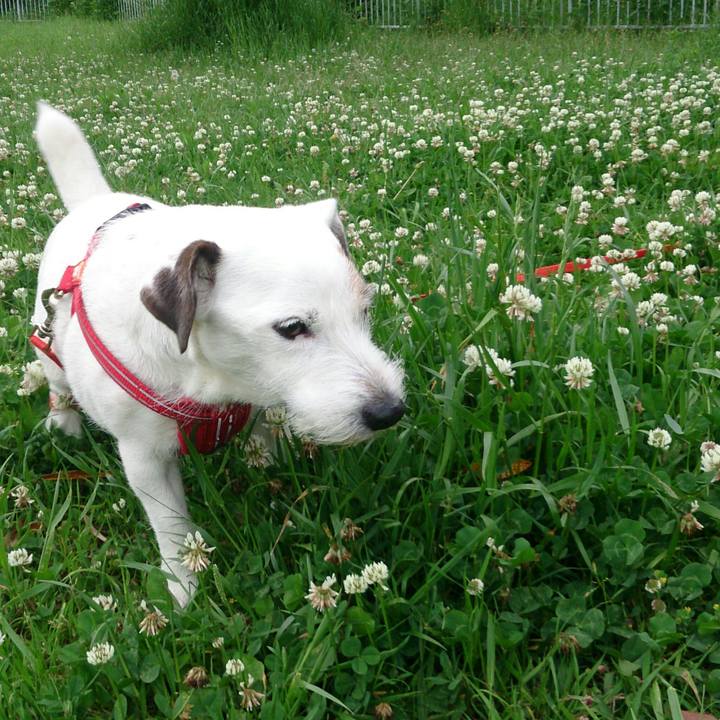 F0e117a4 6066 40ed ac1b d6a3b2cffd11