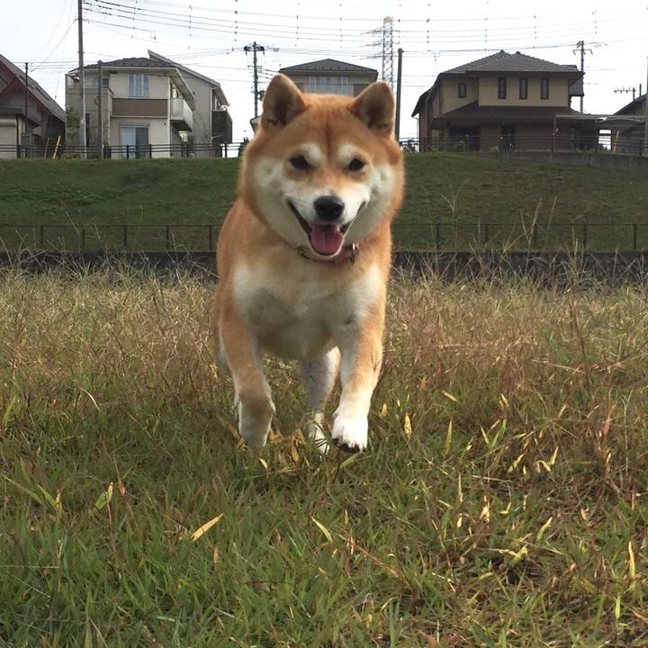 F0e13ff4 5a8e 4bea b27d 56ac89a5d8b9