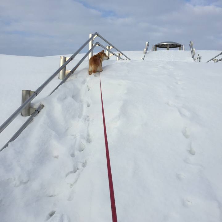 F0e168a8 f178 4e12 af9a a6eea293c4a2