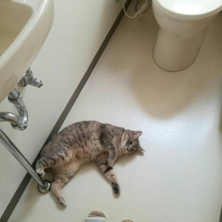 F0e1ef8b 7656 4424 821c 22a5d9bfdf99