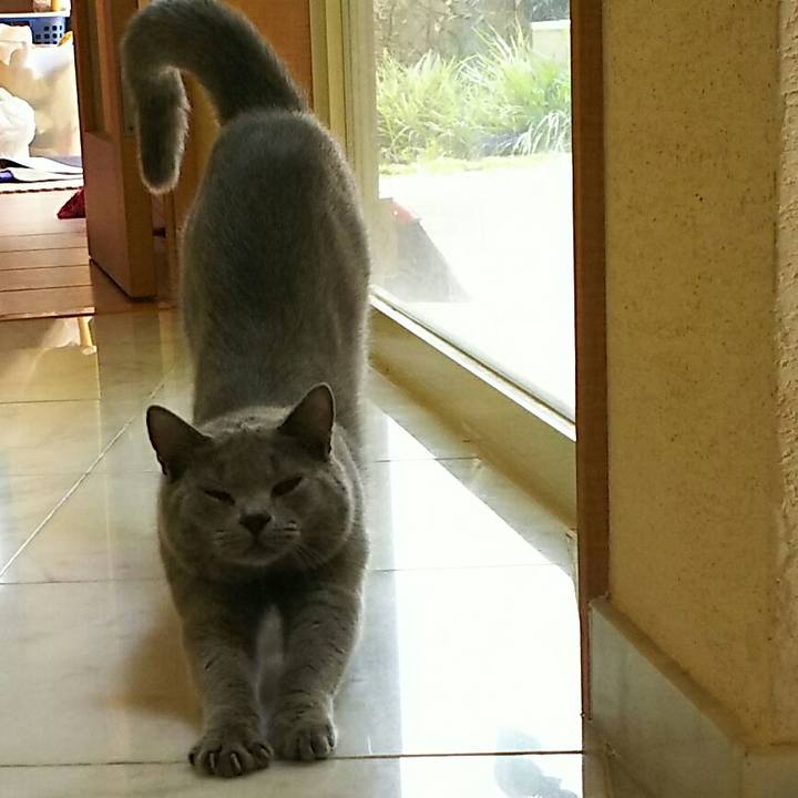 F0e30251 5d6e 44d5 ae10 16bf5d442e67