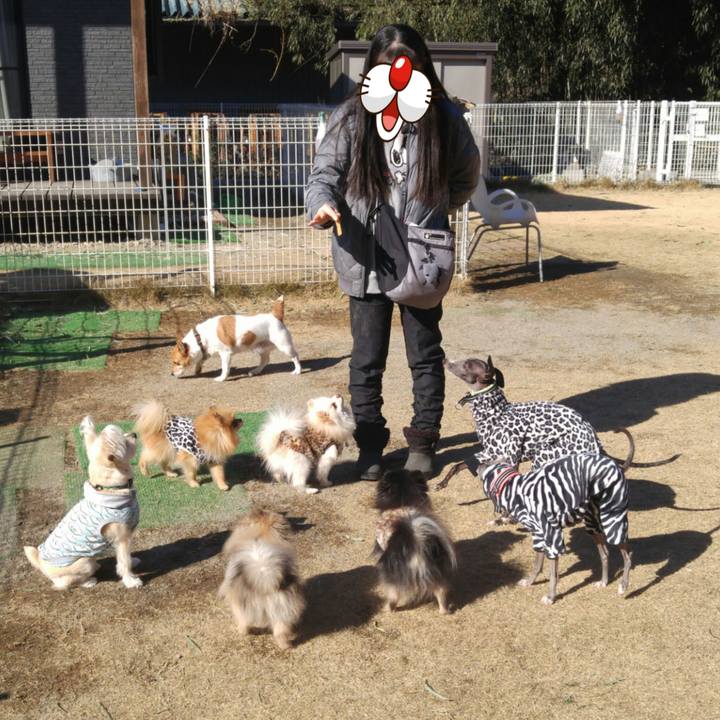 F0e3212b 7165 4463 b00b d538ccde5d0e