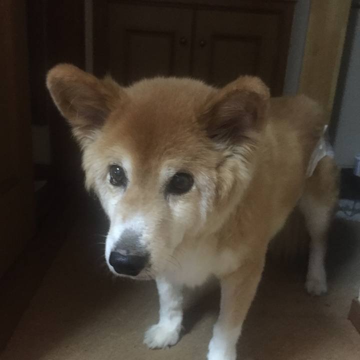 F0e34382 93ad 4ee4 93bc ad5fa7d40810