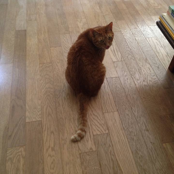 F0e3d692 2827 4959 9948 88bb70a9cac0