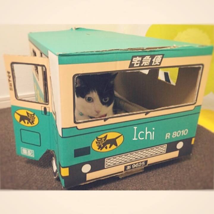 F0e41f9e a1ce 42e3 88d3 da9763dd3f5c