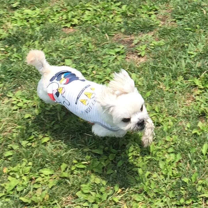 F0e478b6 32e2 45ae 8d00 51f3ff8639a5