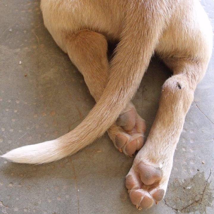 F0e4aae5 4435 4058 ba14 eb69760c4aa1