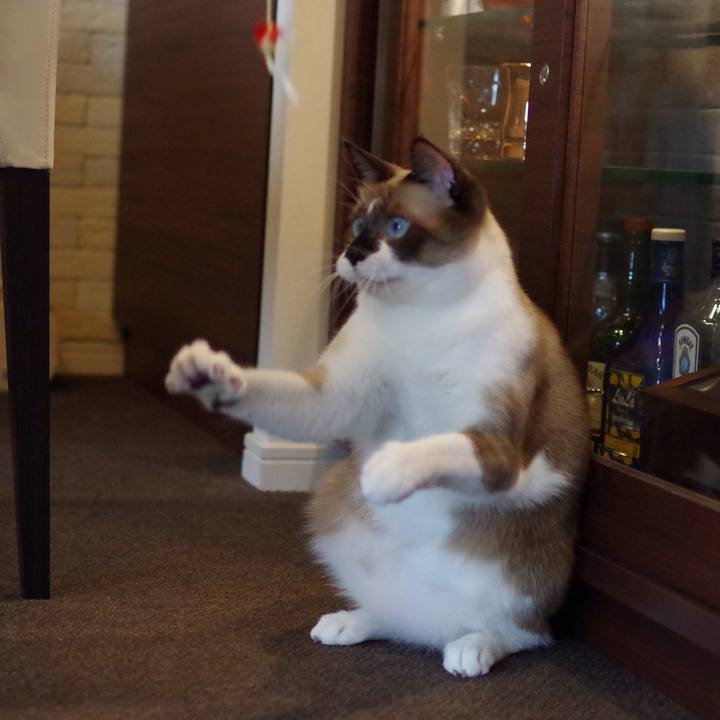 F0e4c6b2 c04e 4b54 bacb 1038ae25036f