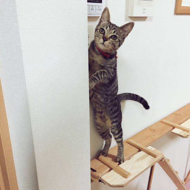 F0e543aa ca11 4b99 84f6 bbd61649f91e