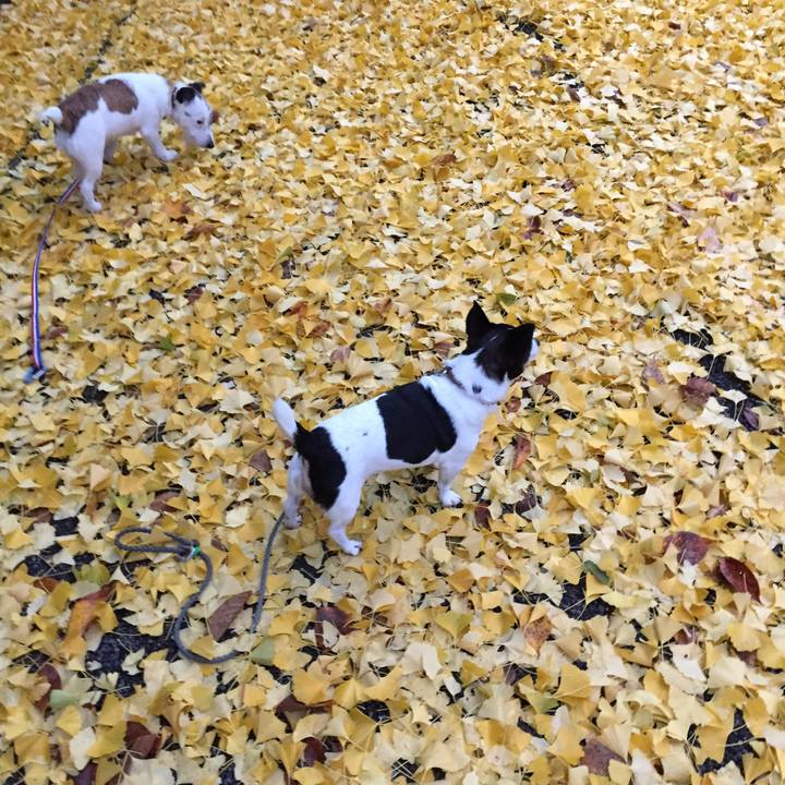 F0e5bb41 cad6 420d af1f 040213bd4c10