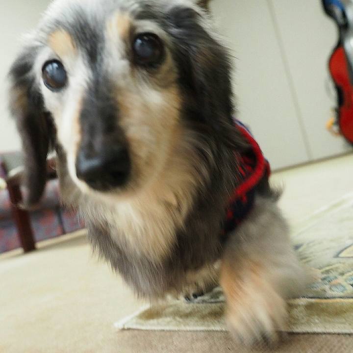 F0e5e5c8 9ccd 4a50 ae33 e8300cf4dfb6