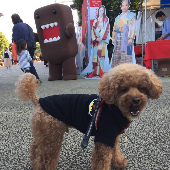 F0e61c71 ecb6 4844 a4e4 926ddf0f5dc8