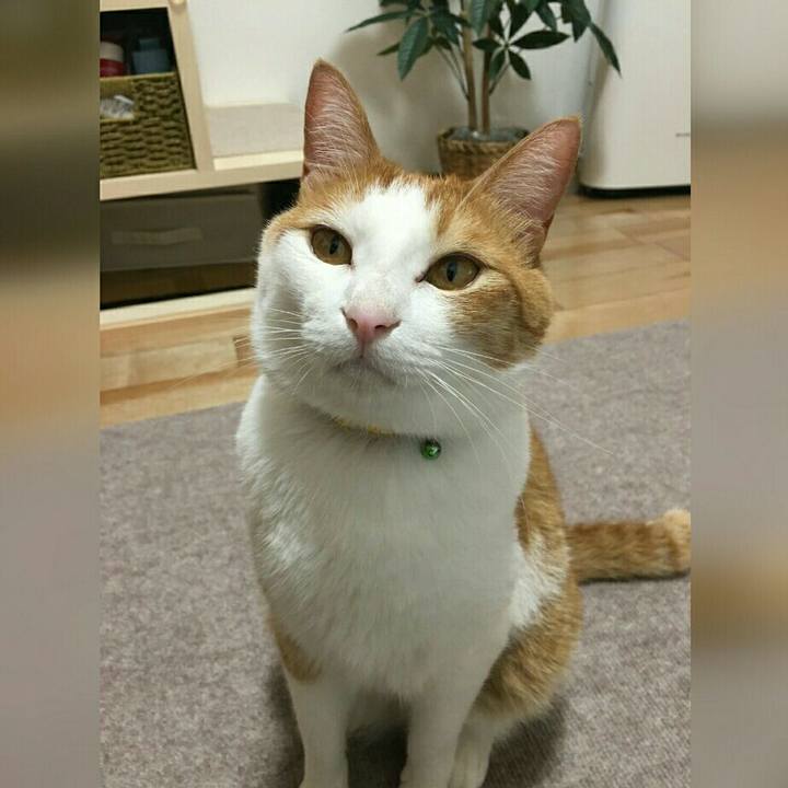 F0e75f0b 4a42 4e55 a765 902c70c65dad