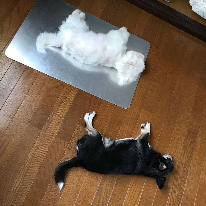 F0e7776a 6d86 4f14 a5bf 4b6c1a018810