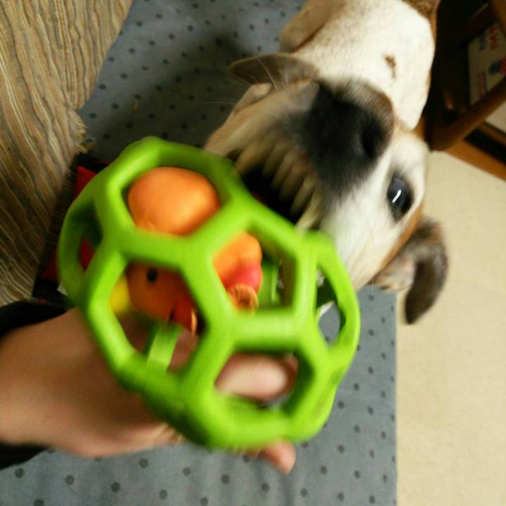 F0e84cc0 b867 4fad 8c4a d1b96deea65b