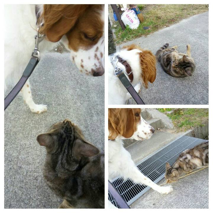 F0e87510 7c9d 449f 81ad f39d0ece41a4