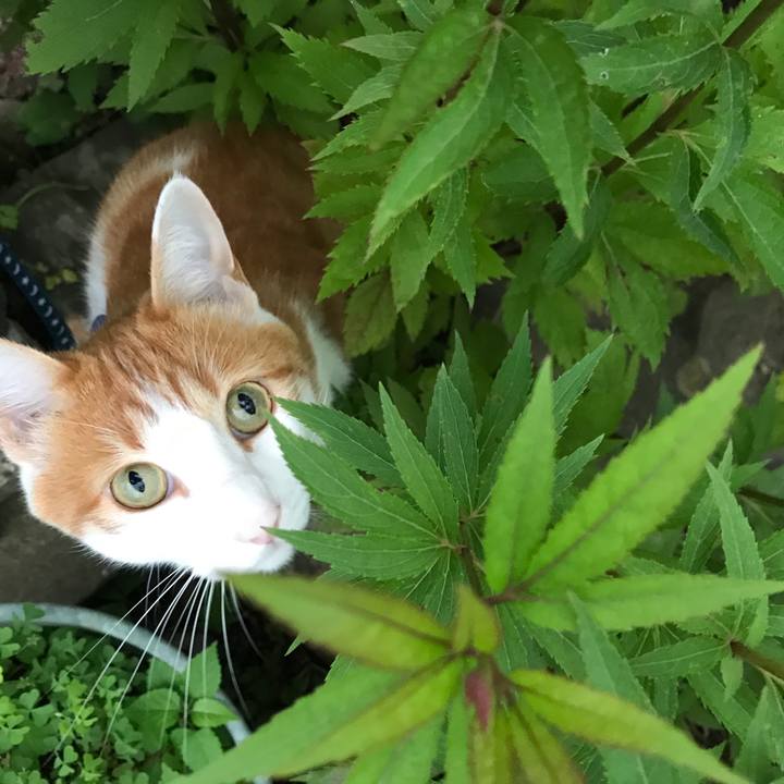 F0e9138f 2c81 484a 92ec 467eb2378e26