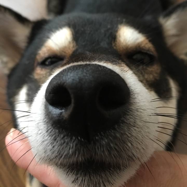 F0e9983a 03fb 43cb b090 ab1933d44271