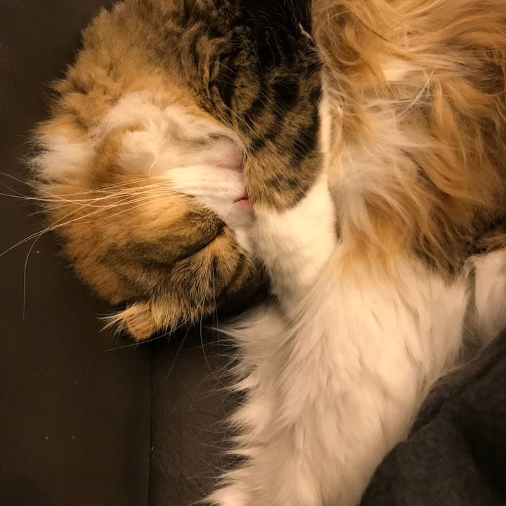 F0e9d6a2 34e9 41d8 acb5 9e03e5eaef96