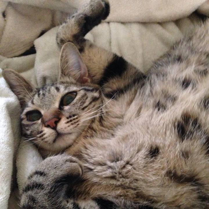 F0e9ec57 4df8 44ca 91a5 fc248900751f