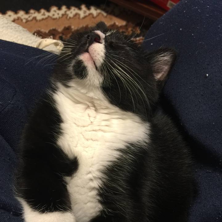 F0ea2c9b dc7e 4928 ae6c d10bdd459c96