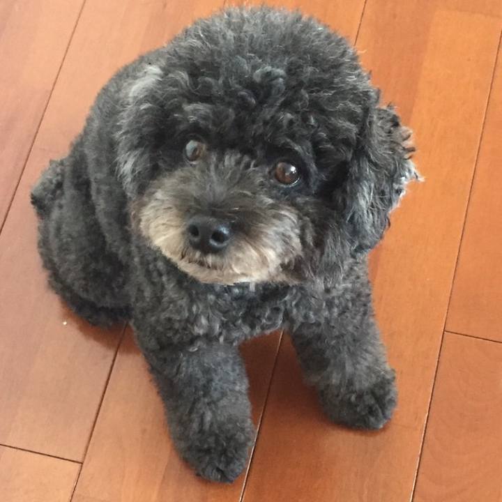 F0ea3db6 ecc4 49d9 bc32 e4e706a185e6