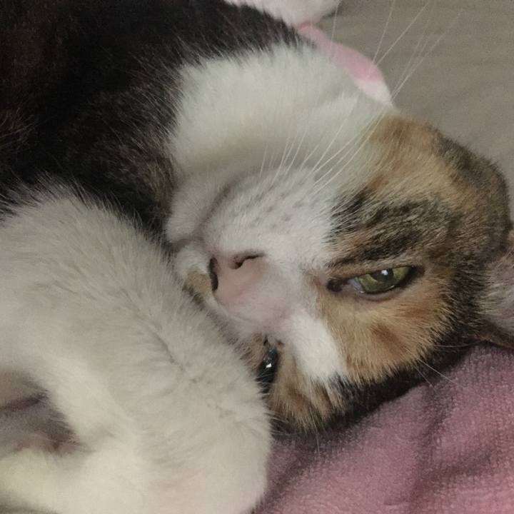 F0ea9b70 0354 4247 a99b 62b8e80348e5