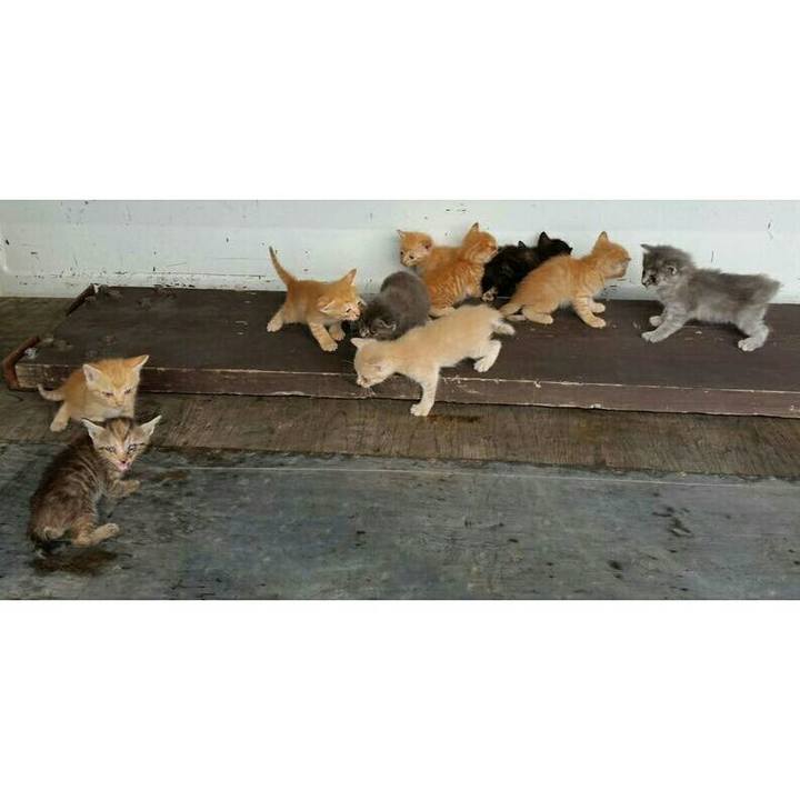 F0eabaac 4da7 4e89 ad2a 13de2961345f