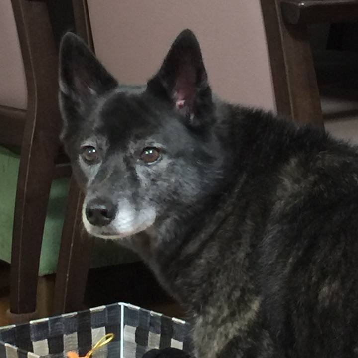 F0eb39f4 05fa 496b a6a8 16fdc0c3da99