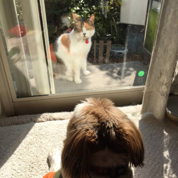 F0ebb29e 4ee5 4577 8487 5e4b1b19e213