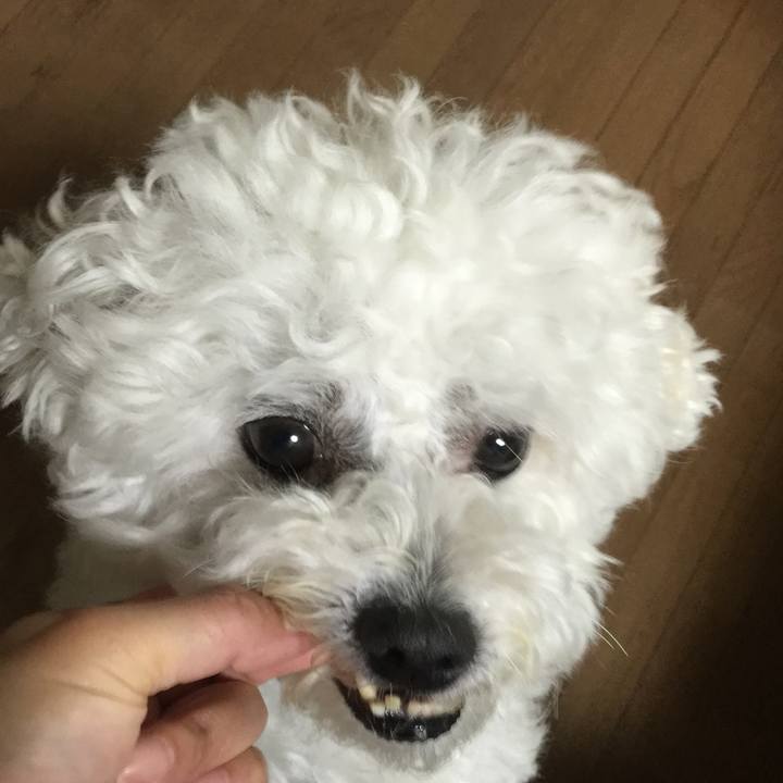 F0ec9deb 17ec 4974 a272 84c560311b38