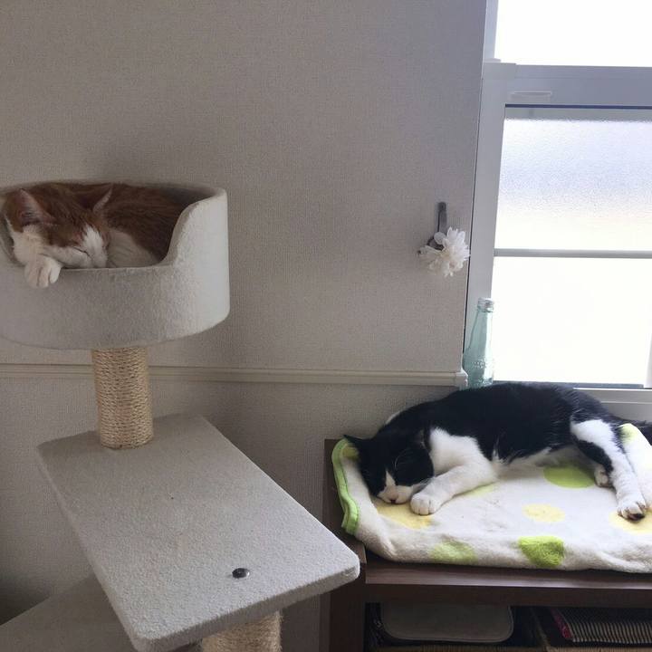 F0ed7340 781c 484c b0aa db77ee39da82