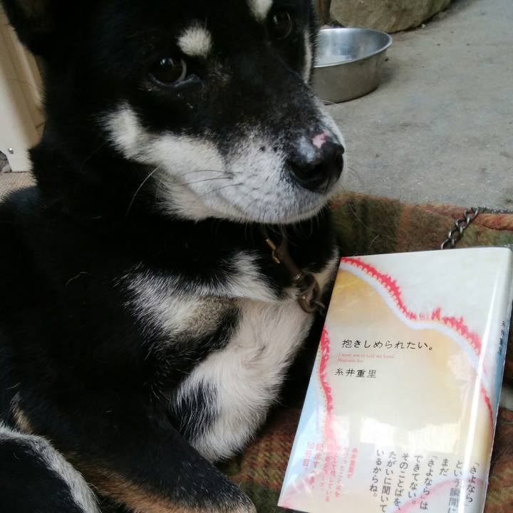 F0ede900 5762 44f9 834b 037c3ae2572f