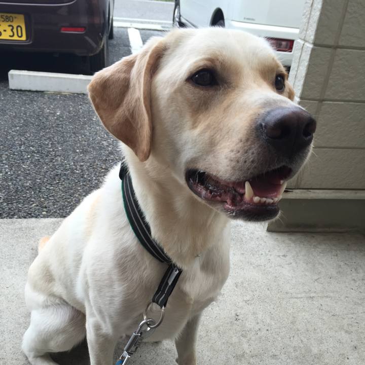 F0ee4303 5bc7 42eb 9ee4 58d06d237e1c