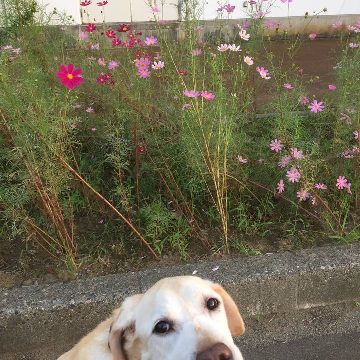 F0ee8ca4 531e 4d13 8e20 e85c0619b698